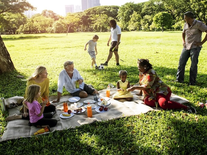family picnic in park